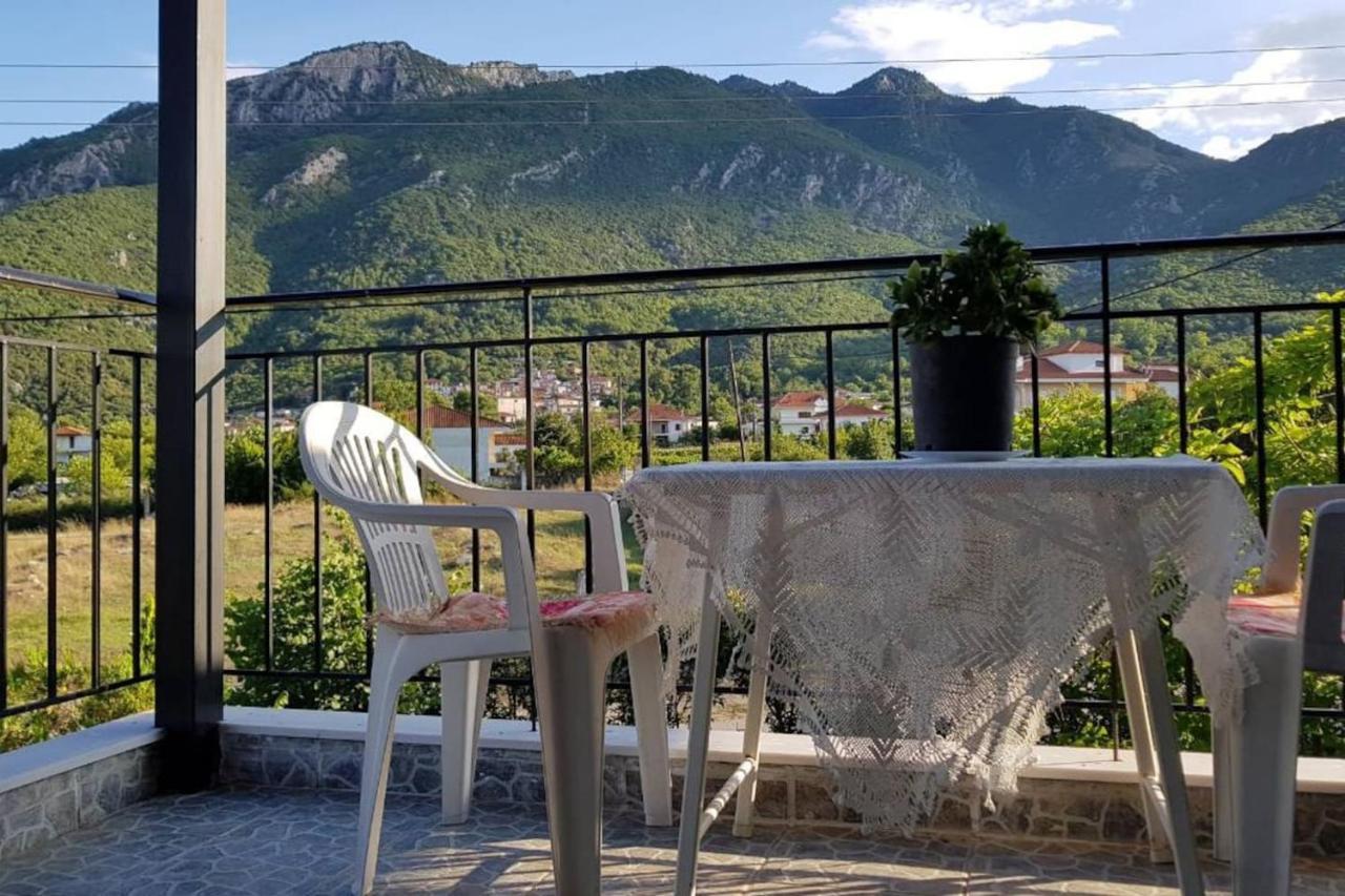 Koulas House In Diava Kalambáka Kültér fotó