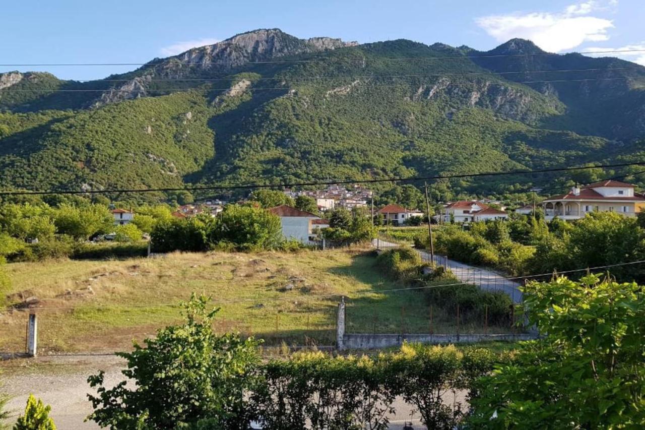 Koulas House In Diava Kalambáka Kültér fotó